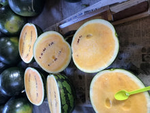 画像をギャラリービューアに読み込む, 夏のほほえみ 1玉入り 7kg