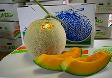 画像をギャラリービューアに読み込む, 三笠メロン 2玉入り