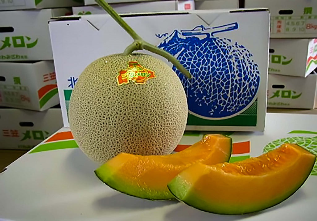 三笠メロン 3玉入り – 富田広之農園 オンラインストア