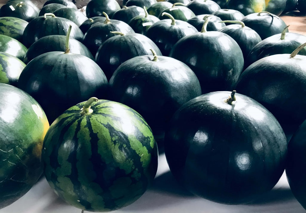 夏の女神（黒皮のスイカ）3-4玉入り 17kg – 富田広之農園 オンラインストア