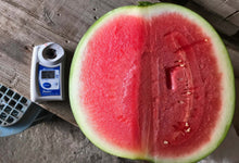 画像をギャラリービューアに読み込む, 夏の女神(黒皮のスイカ)3-4玉入り 17kg